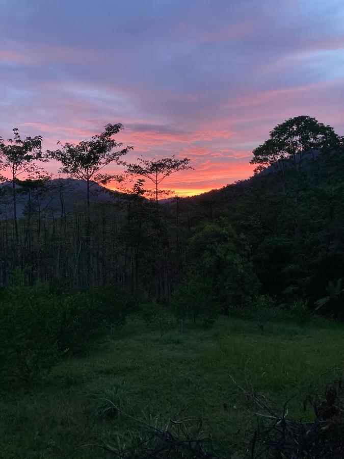 Khao Sok Hill Top Resort Khao Sok National Park المظهر الخارجي الصورة