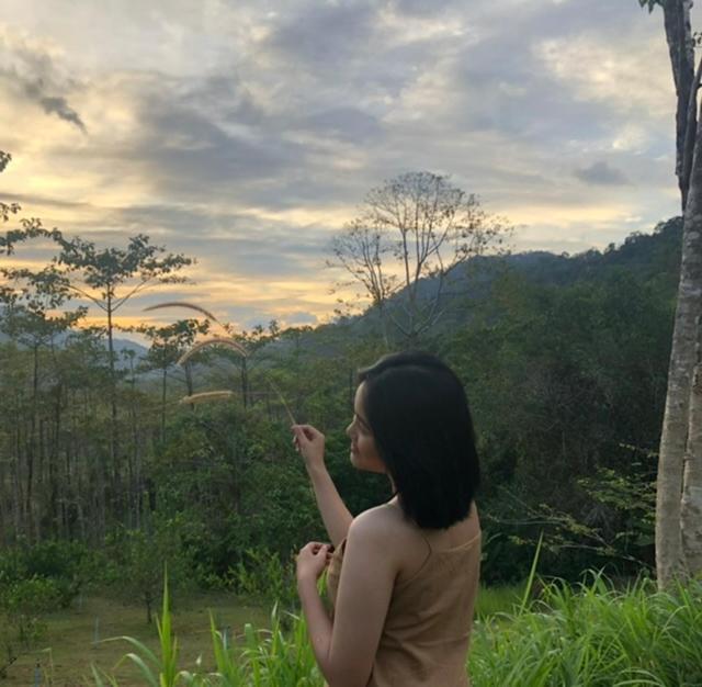 Khao Sok Hill Top Resort Khao Sok National Park المظهر الخارجي الصورة