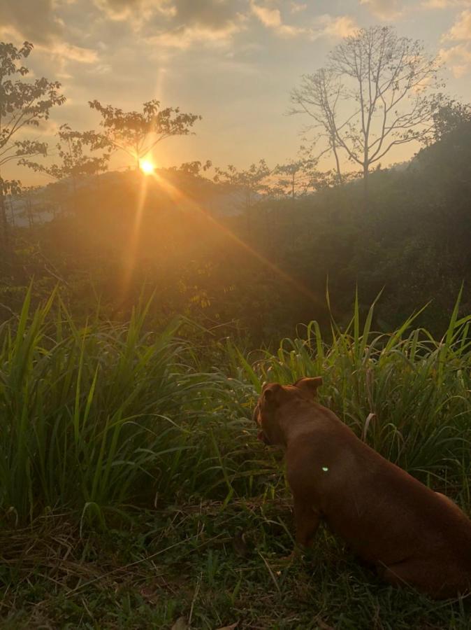 Khao Sok Hill Top Resort Khao Sok National Park المظهر الخارجي الصورة