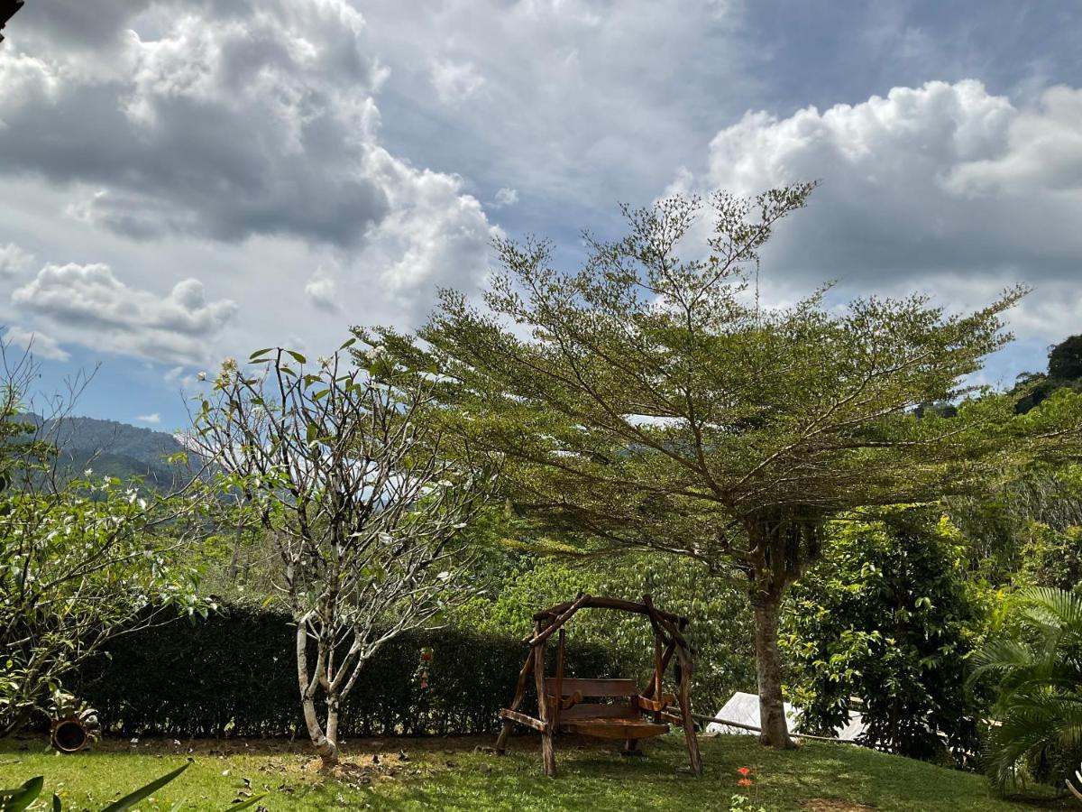 Khao Sok Hill Top Resort Khao Sok National Park المظهر الخارجي الصورة