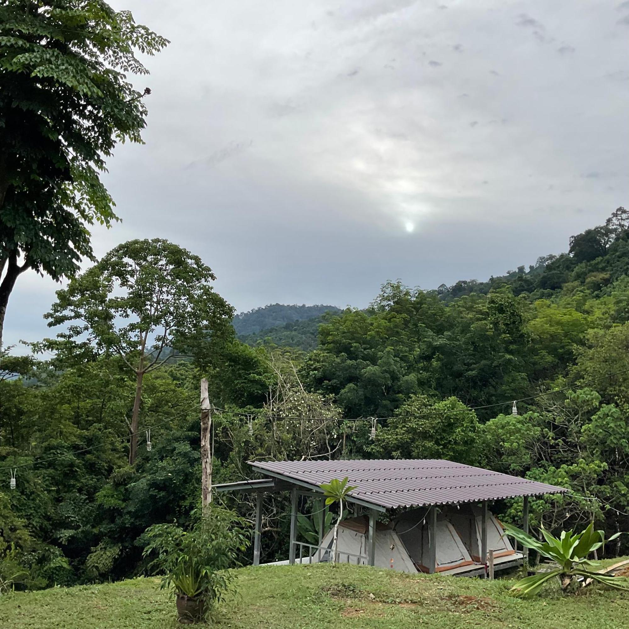 Khao Sok Hill Top Resort Khao Sok National Park المظهر الخارجي الصورة