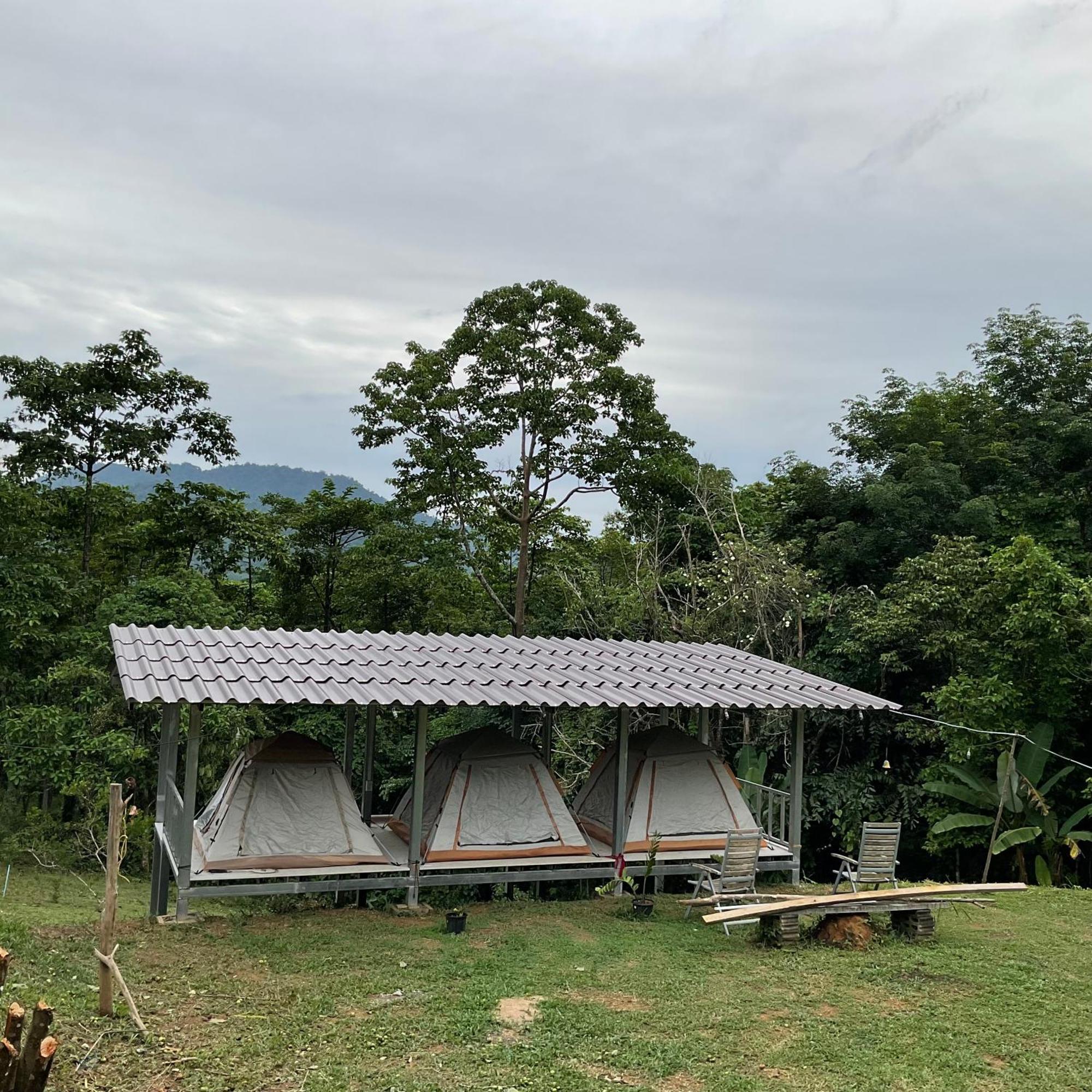 Khao Sok Hill Top Resort Khao Sok National Park المظهر الخارجي الصورة