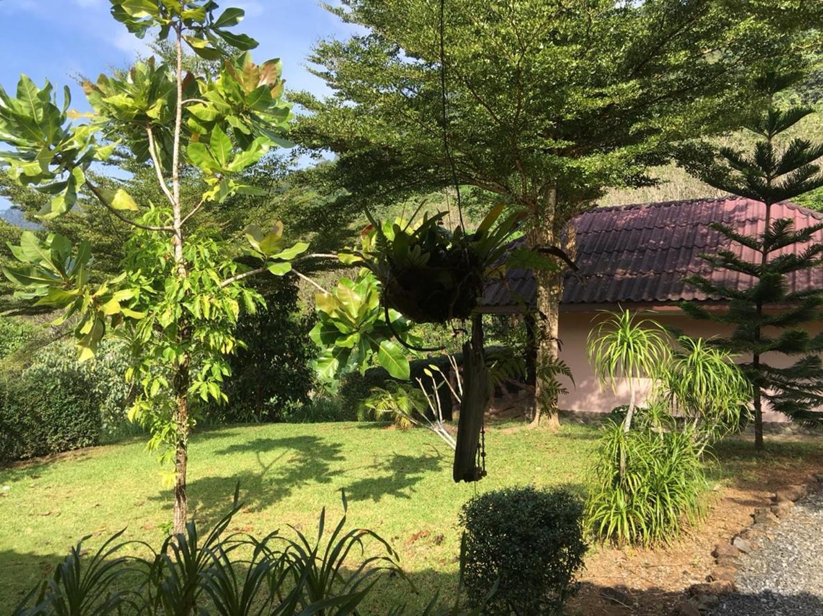 Khao Sok Hill Top Resort Khao Sok National Park المظهر الخارجي الصورة