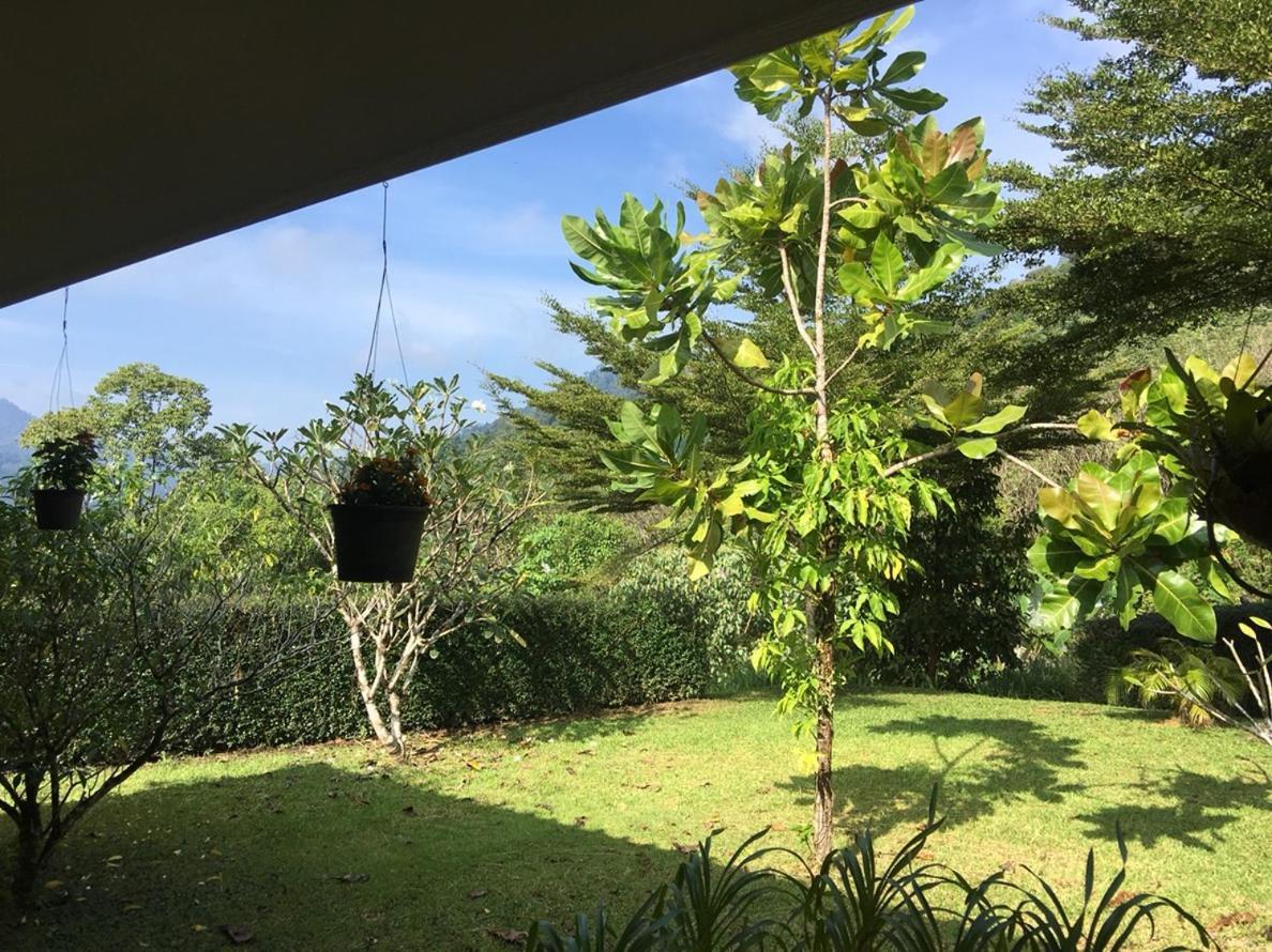 Khao Sok Hill Top Resort Khao Sok National Park المظهر الخارجي الصورة