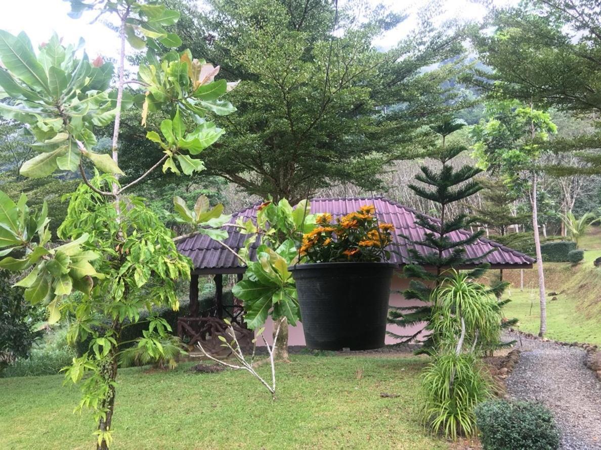 Khao Sok Hill Top Resort Khao Sok National Park المظهر الخارجي الصورة