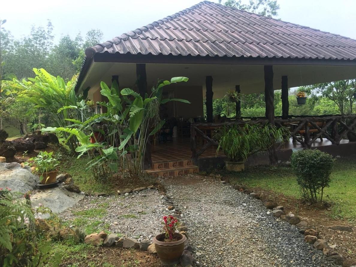 Khao Sok Hill Top Resort Khao Sok National Park المظهر الخارجي الصورة